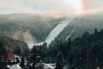 Sledding