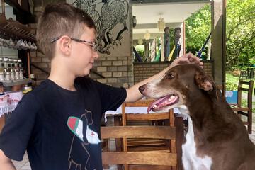 Pet-friendly