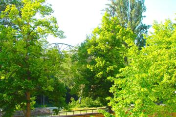 Photo 36