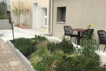 Garden view