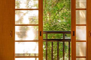 Garden view
