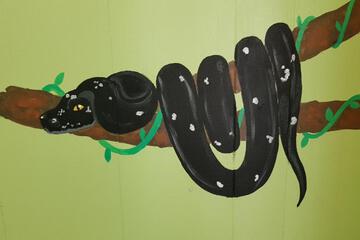 Photo 38