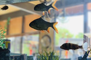 Hotel Interior 15 of 74