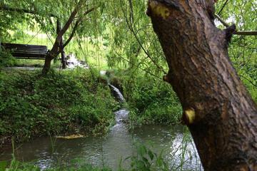Photo 34