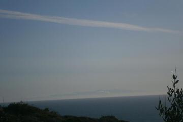 Photo 39