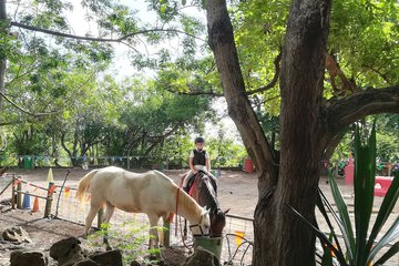 Horseback riding