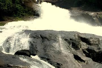 Photo 37