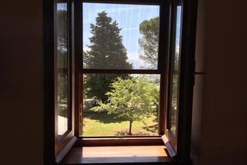 View from room