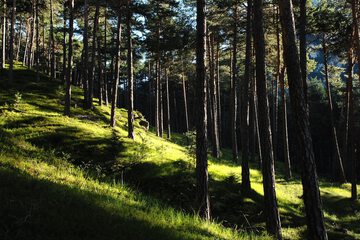 Hiking