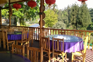 餐饮 or 会议