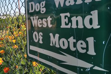 Pet-friendly