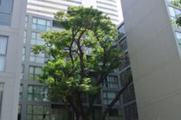 Photo 35