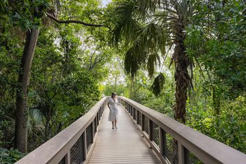 Children's activities