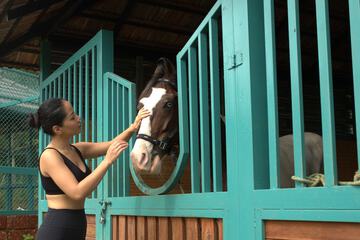 Horseback riding