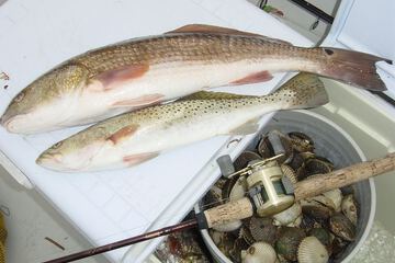 Fishing