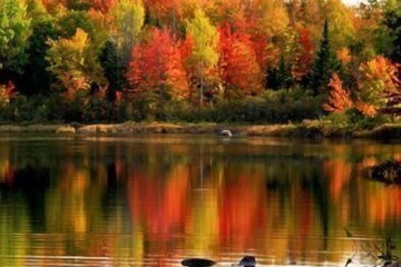 Lake