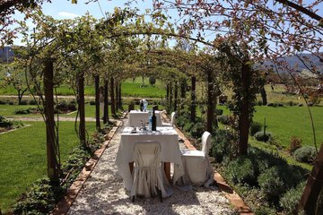 Outdoor wedding area