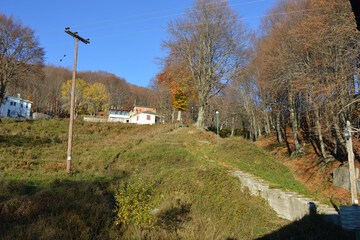 Mountain view