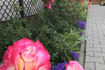 Photo 28
