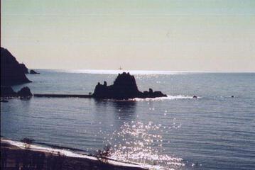Photo 61