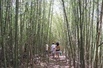 Hiking