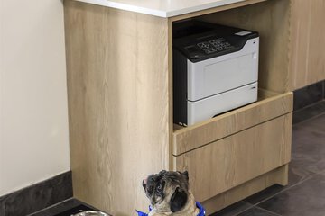 Pet-friendly