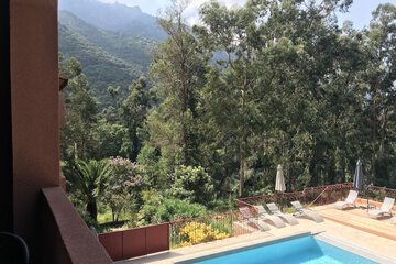 View from room