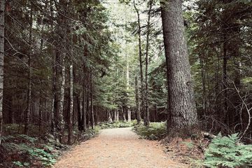 Hiking