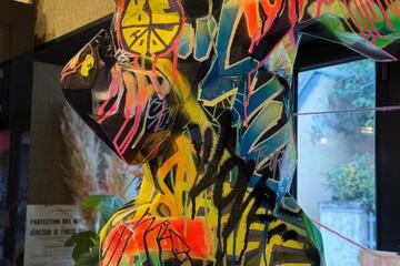 Photo 36