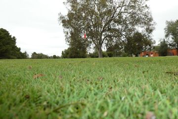 Golf view