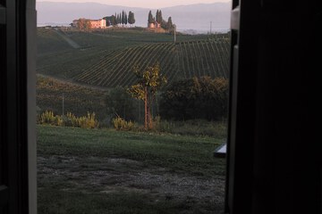 View from room