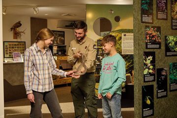 Children's activities