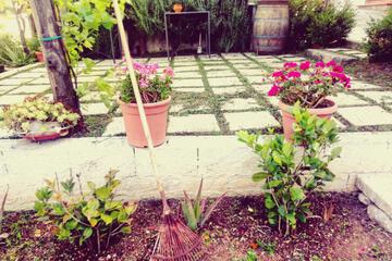 Photo 35