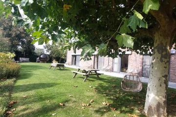Photo 44
