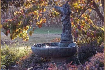 Property Grounds 58 of 62