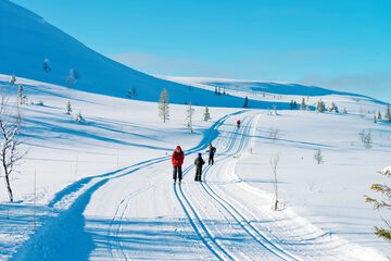 Snow and ski sports