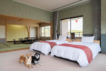 Pet-friendly