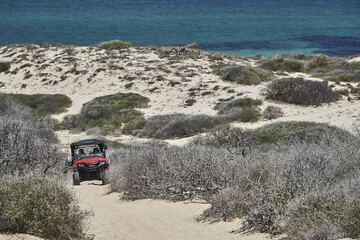 Ecotours