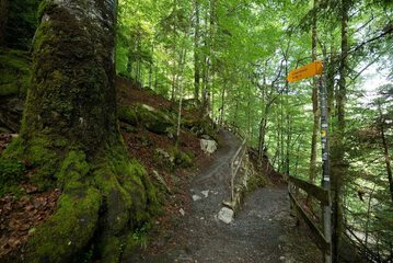 Hiking