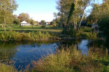 Photo 21