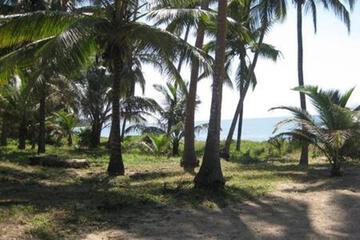 Photo 24