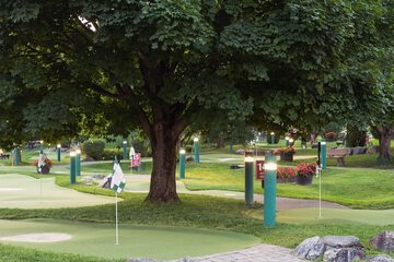 Mini-golf