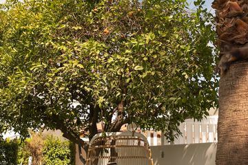 Hotel Exterior 56 of 62