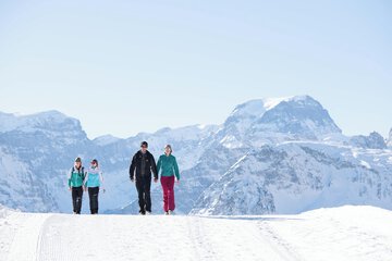 Snowshoeing