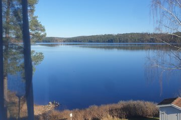 Lake view
