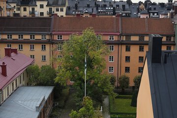 View from room