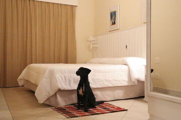 Pet-friendly