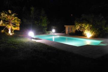 Photo 61