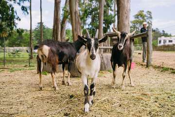 Children's activities