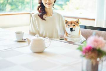 Pet-friendly